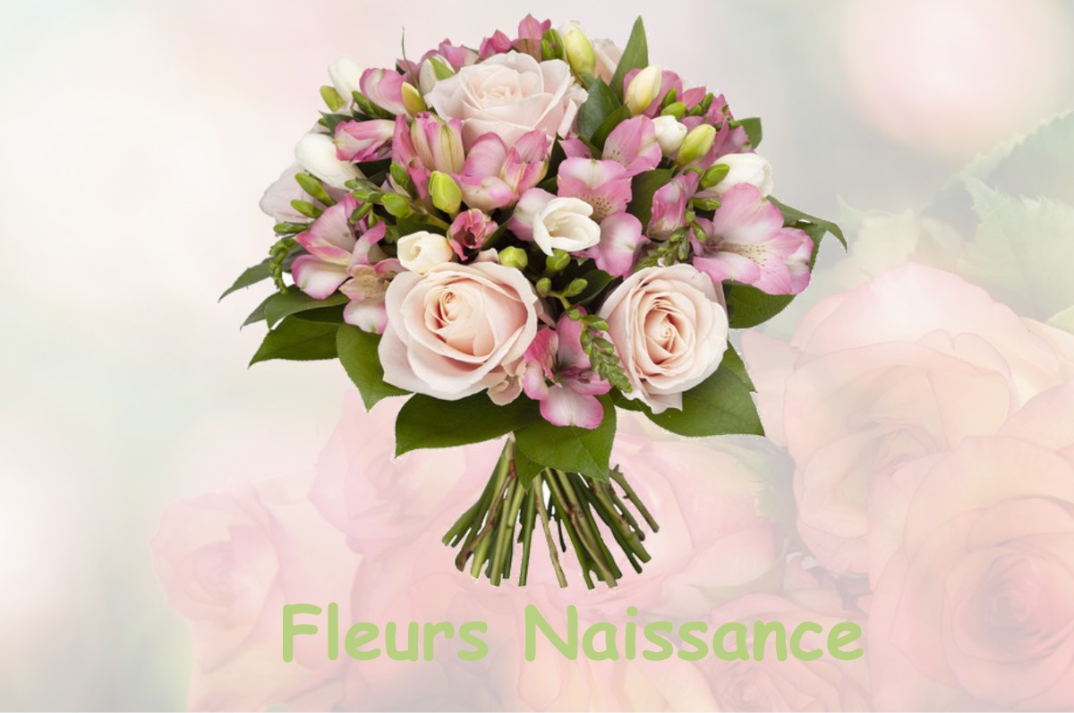 fleurs naissance SAINT-BRISSON-SUR-LOIRE