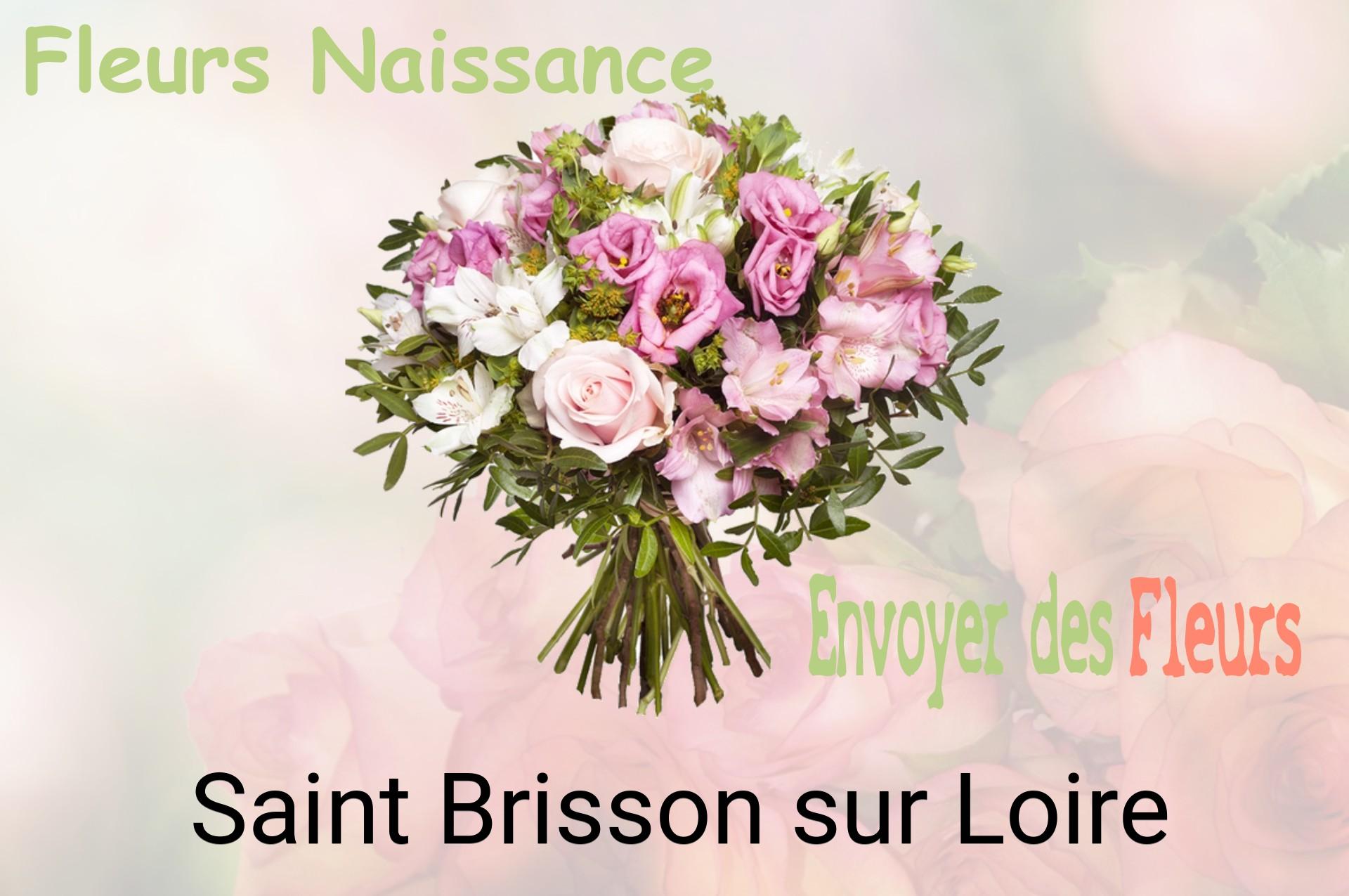Bouquet de fleurs de naissance livré à Saint-Brisson-sur-Loire