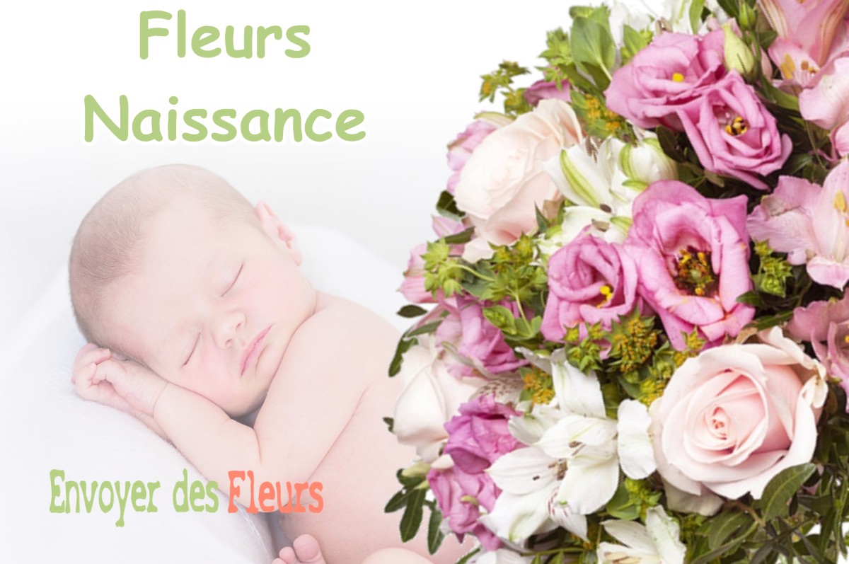 lIVRAISON FLEURS NAISSANCE à SAINT-BRISSON-SUR-LOIRE